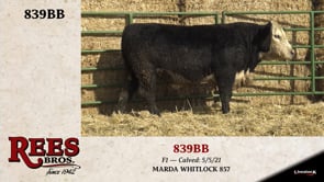 Lot #839BB - 839BB