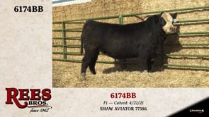 Lot #6174BB - 6174BB