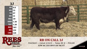 Lot #3J - RB ON CALL 3J