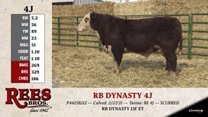 Lot #4J - RB DYNASTY 4J