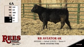 Lot #6AA - RB AVIATOR 6K