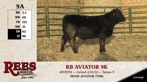 Lot #9AA - RB AVIATOR 9K