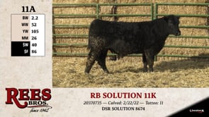 Lot #11AA - RB SOLUTION 11K