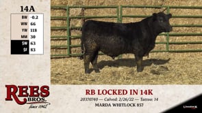 Lot #14AA - RB LOCKED IN 14K