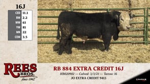Lot #16J - RB 884 EXTRA CREDIT 16J
