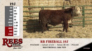 Lot #19J - RB FIREBALL 19J