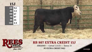 Lot #15J - RB 807 EXTRA CREDIT 15J
