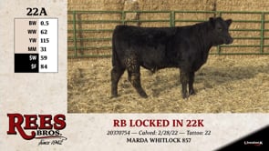 Lot #22AA - RB LOCKED IN 22K