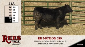 Lot #21AA - RB MOTION 21K