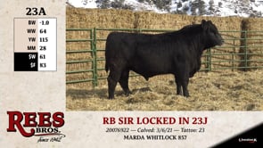Lot #23A - RB SIR LOCKED IN 23J