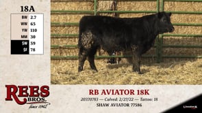 Lot #18AA - RB AVIATOR 18K