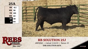 Lot #25A - RB SOLUTION 25J