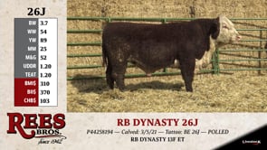 Lot #26J - RB DYNASTY 26J