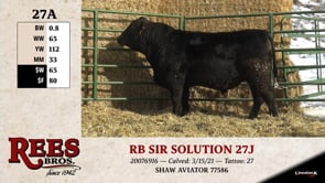 Lot #27A - RB SIR SOLUTION 27J