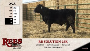 Lot #25AA - RB SOLUTION 25K