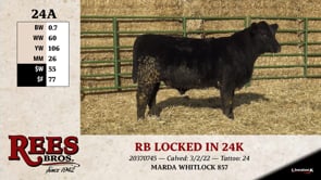 Lot #24AA - RB LOCKED IN 24K