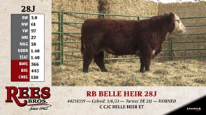 Lot #28J - RB BELLE HEIR 28J