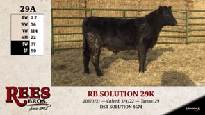 Lot #29AA - RB SOLUTION 29K
