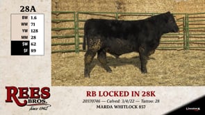 Lot #28AA - RB LOCKED IN 28K