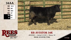 Lot #34AA - RB AVIATOR 34K