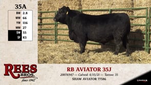 Lot #35A - RB AVIATOR 35J