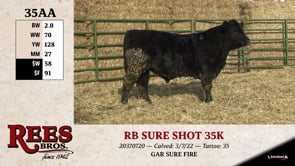 Lot #35AA - RB SURE SHOT 35K