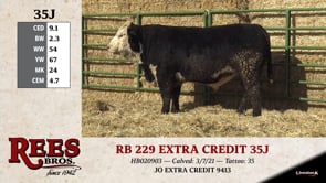 Lot #35J - RB 229 EXTRA CREDIT 35J