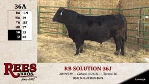 Lot #36A - RB SOLUTION 36J