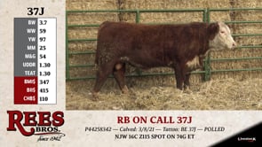 Lot #37J - RB ON CALL 37J