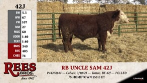 Lot #42J - RB UNCLE SAM 42J