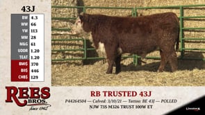 Lot #43J - RB TRUSTED 43J