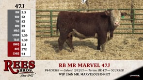 Lot #47J - RB MR MARVEL 47J