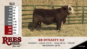 Lot #51J - RB DYNASTY 51J