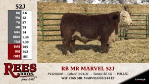 Lot #52J - RB MR MARVEL 52J