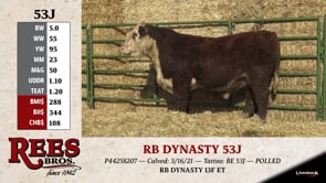 Lot #53J - RB DYNASTY 53J