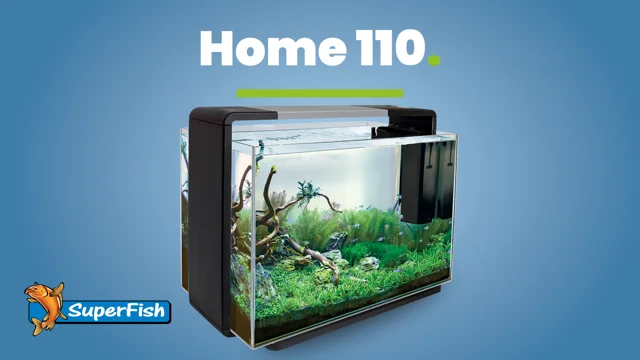 aquarium superfish home 65 - 60 litres
