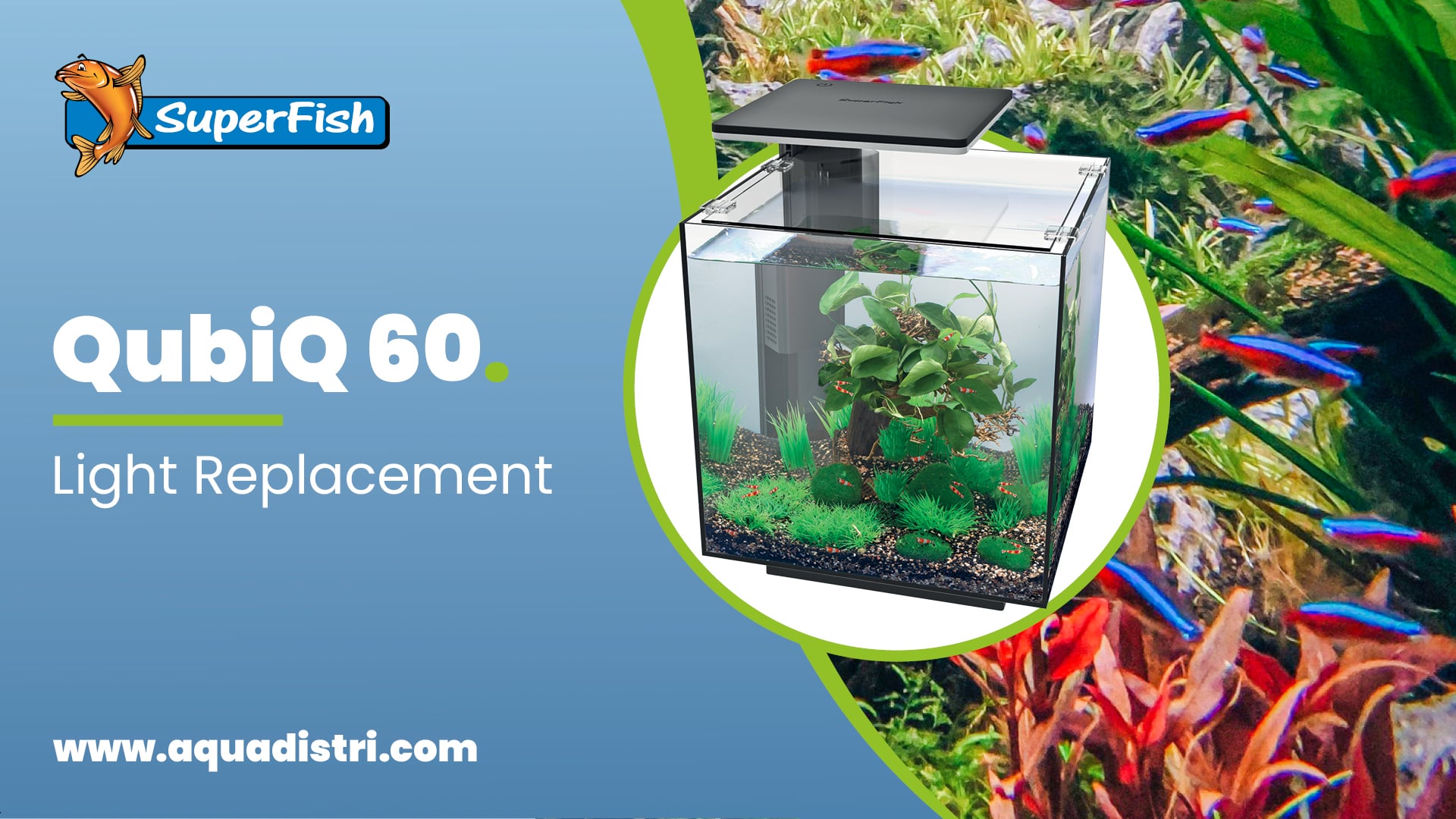 SuperFish Qubiq 60 Pro Light Replacement on Vimeo