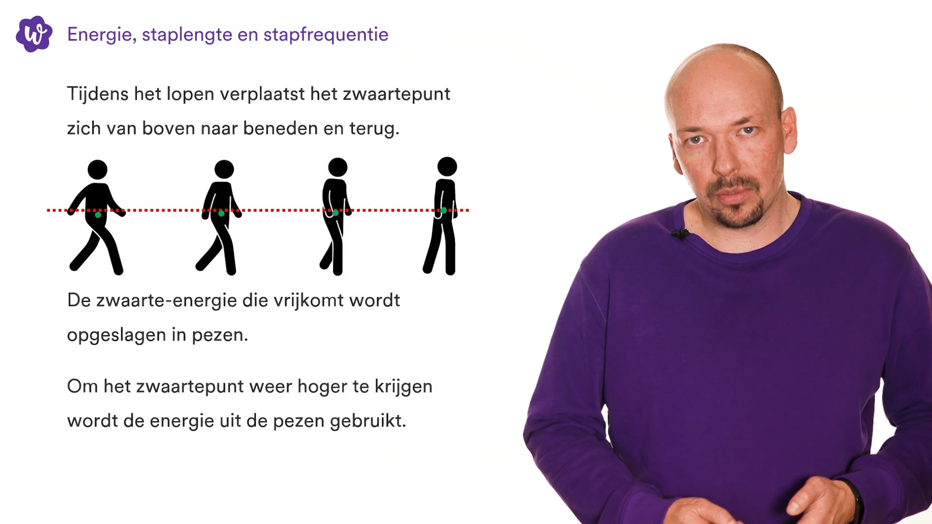 Oefen Met Biofysica: De Natuurkunde Van Het Leven Uit Nova – 4 Vwo – 5 ...