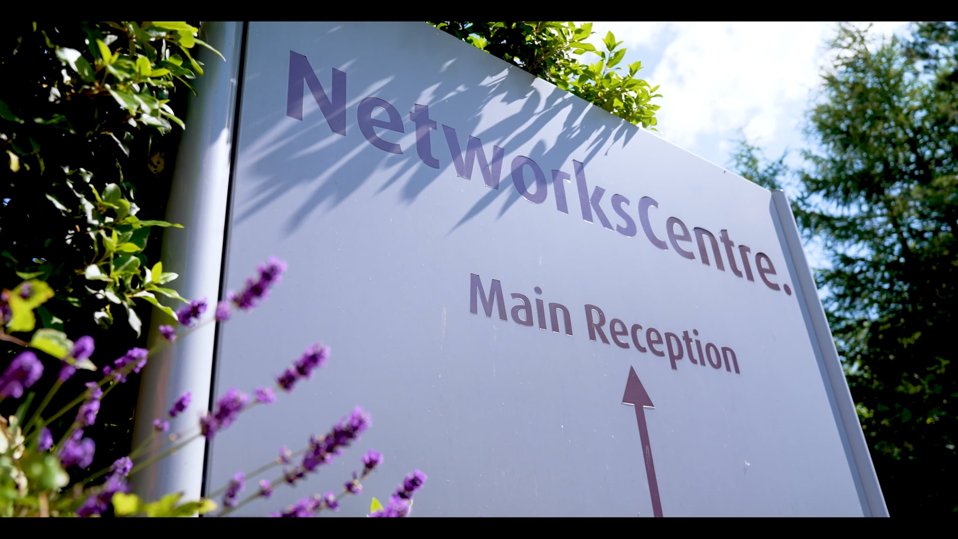 Networks Centre - Growth Film