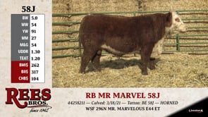 Lot #58J - RB MR MARVEL 58J