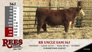 Lot #56J - RB UNCLE SAM 56J