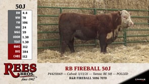 Lot #50J - RB FIREBALL 50J