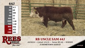 Lot #44J - RB UNCLE SAM 44J