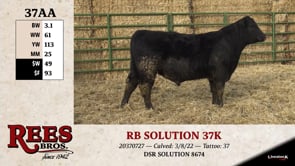 Lot #37AA - RB SOLUTION 37K