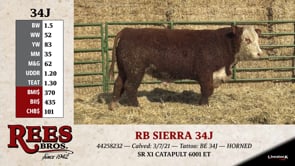 Lot #34J - RB SIERRA 34J