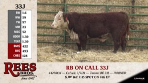 Lot #33J - RB ON CALL 33J