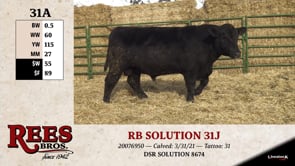Lot #31A - RB SOLUTION 31J
