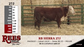 Lot #27J - RB SIERRA 27J