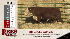 Lot #23J - RB UNCLE SAM 23J