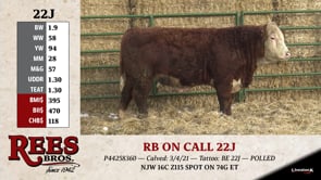 Lot #22J - RB ON CALL 22J